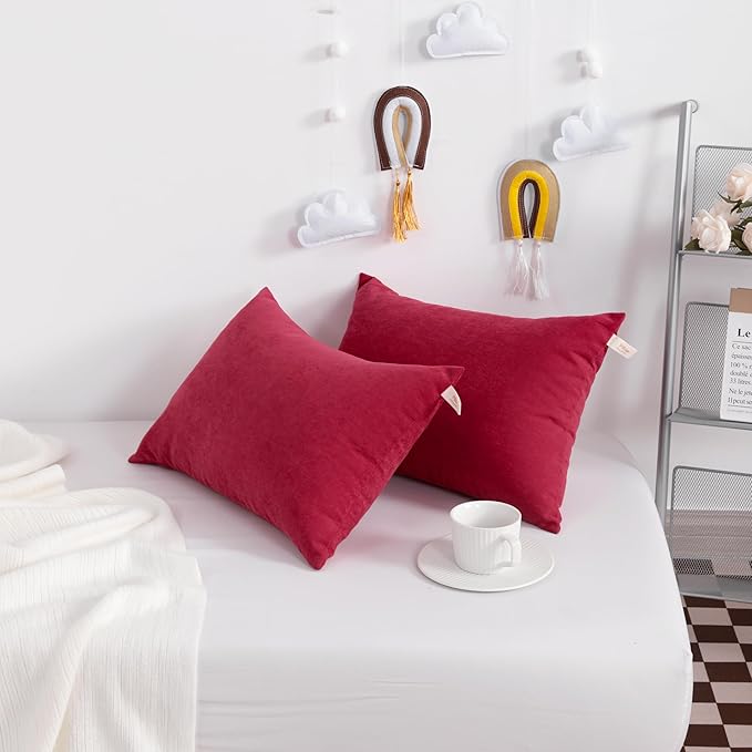 NTBAY Tiny Pillows, Down Alternative 7"x11" Microfiber Mini Pillows for Travel, Pets, Soft Machine Washable Small Pillows for Neck, Wrist, Lumbar and Knee, Red