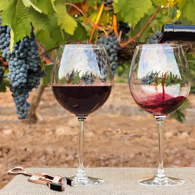 KORCCI Wine Opener, Wine Bottle Opener, Zinc Alloy Wing Corkscrew Heavy Duty, Cork Screw Beer Opener for Bartenders, Multifunctional Bottle Opener for Kitchen, Restaurant, Bar, Waiters (1, Rose Gold)