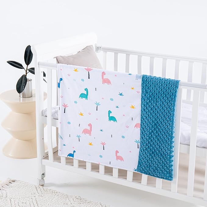 Baby Blanket for Boys Girls Super Soft Blanket,Fluffy Warm Lightweight Baby Receiving Blankets,Double Layer with Dotted Backing for Toddler Nursery (Dinosaur, 30 * 40inch)