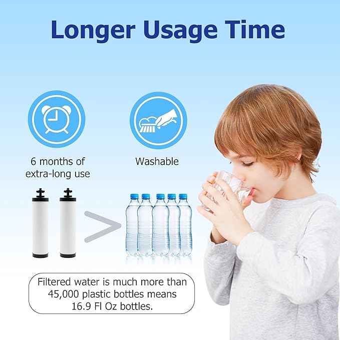 【Upgraded】Renami Ceramic Filter Silver Infused Replacement for BB9-2® Black Activated Carbon Filters, Compatible with Berkey® Travel, Large, Royal, Crown Series, Repeatable Cleaning Filters, Pack of 4