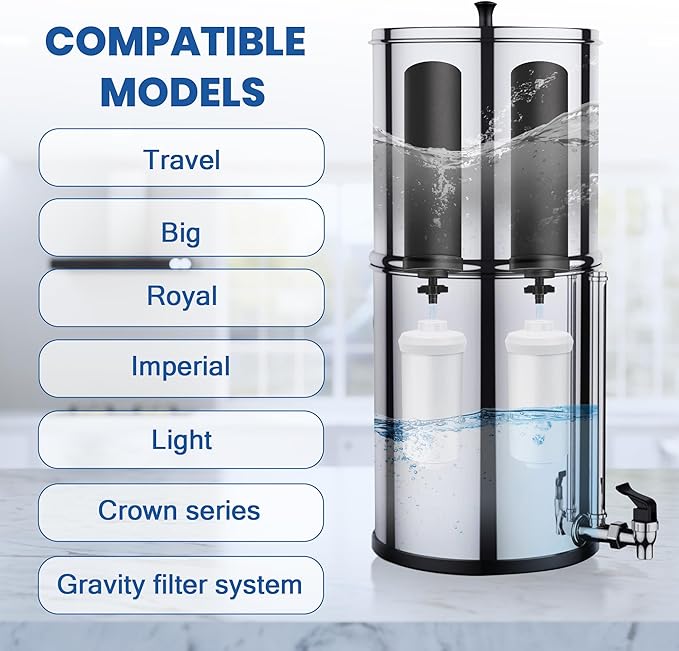 Water Filter Replacement for Berkey BB9-2 Black Filters & PF-2 Fluoride Filters, Compatible with Berkey Gravity Water Filter System, Pack of 4