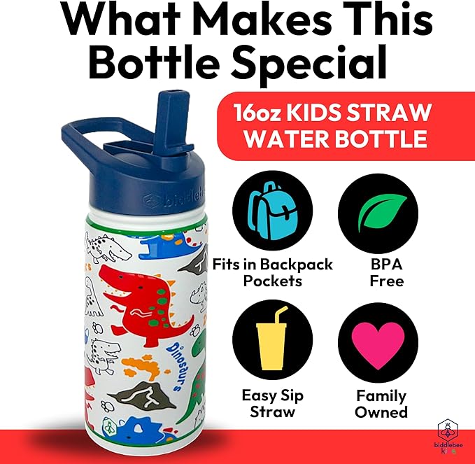 Biddlebee Kids Water Bottle with Straw Lid | 14oz Insulated Stainless Steel Reusable Bottles for School | Leak Proof Cap with Handle & Touch Free Spout | Great for Boys & Girls (Colorful Dinosaurs)