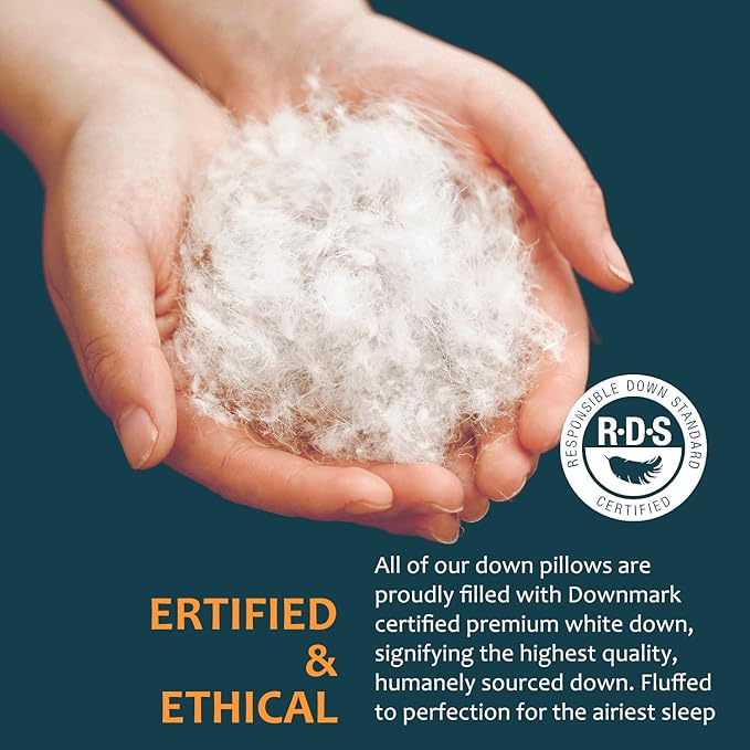 Hungarian Goose Down Pillow Standard Size Set of 2, Ultimate Comfort 750+ Fill Power, 480 Thread Count 100% Cotton Shell, Luxury Bed Pillows for Sleeping - Standard (20" x 26"), 2 Pack