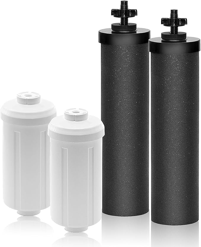 Water Filter Replacement for Berkey Water Filter, 2 Activated Carbon Filters and 2 Fluoride Filters 53 Certified Pack of 4