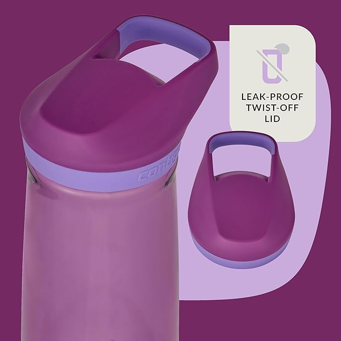 Contigo Micah Water Bottle, 20 oz, Grape/Amethyst
