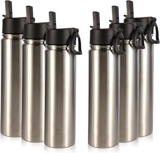 Volhoply 24oz Insulated Water Bottle With Straw Bulk 6 Pack,Metal Wide Mouth Water Bottles With Handle Lid Keep Cold,Reusable Double Wall Thermos,Powder Coated Sport Bottle For Holder(Sliver,6 Count)