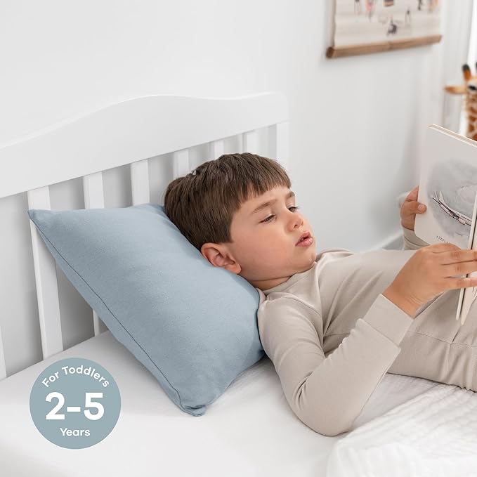 Comfy Cubs Toddler Pillow with Soft Cotton Pillowcase, 13"x18", Pacific Blue, 2 Pack - Kids Pillow for Sleeping & Travel - Comfortable Small Pillow - Kids Travel Pillow with Breathable Microfiber Fill