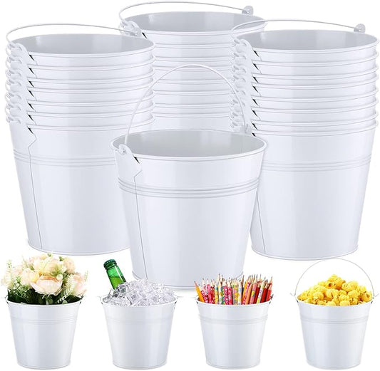 Rtteri 24 Pcs Metal Bucket, Small Metal Bucket, Party Favor Buckets with Handle, 6 x 5 Inch Ice Bucket for Kids, Flower Pot Plant Basket, Mini Toy Containers for Crafts Candy (White)