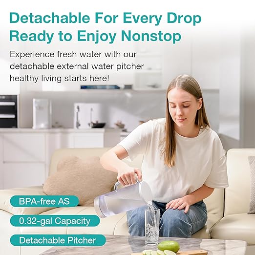 SimPure Y10C CTO Filter Cartridges Replacement, 6 Months Replacement Cartridge (1 Pack)