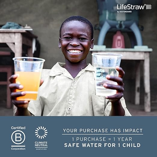 LifeStraw Go Bottle 2-Stage with Integrated 1,000 Liter LifeStraw Filter and Activated Carbon, Green, 22oz