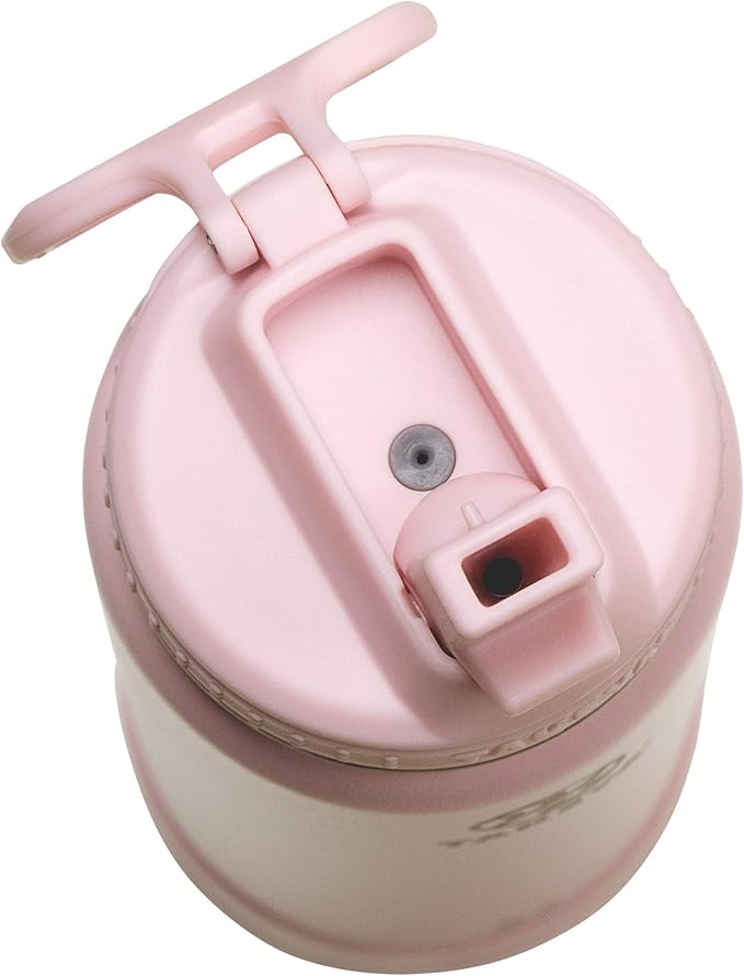 Takeya Actives 22 oz Vacuum Insulated Stainless Steel Water Bottle with Straw Lid, Premium Quality, Blush