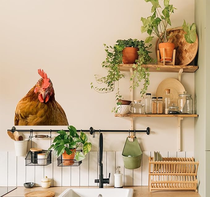 Funny Chicken Wall Decals Vinyl Hen Looking Wall Mural Stickers Peel and Stick Funny Wall Art Decals for Kitchen Bedroom Playroom Game Room Farm Barn Funny Car Sticker