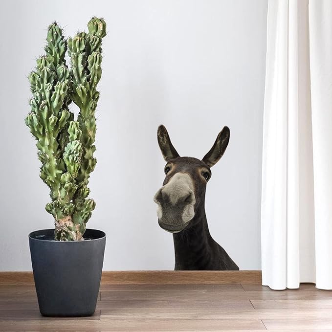 Cute Donkey Wall Decal Peel and Stick Funny Donkey Head Sticker Wall Decals Funny Gifts for Kids Friends Kitchen Bedroom Playroom Game Room Farm Barn Showcase Funny Car Sticker