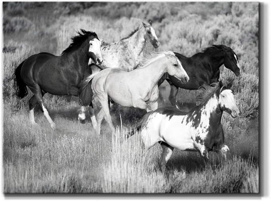 Renditions Gallery Canvas Animal Wall Art Modern Decorations Paintings Running Vintage Horses Black & White Nature Wall Hanging Artwork Prints for Bedroom Office Kitchen - 8"x12" LT33