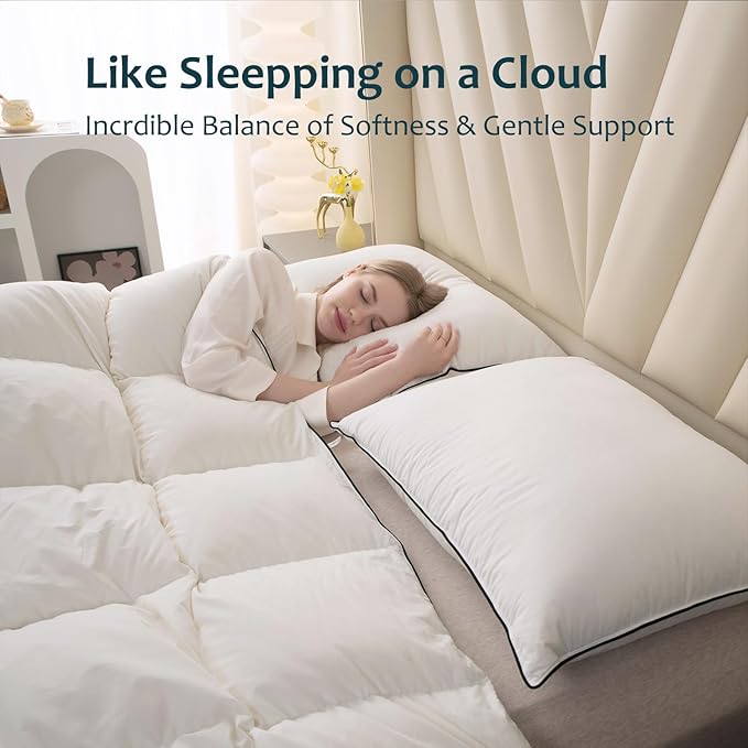 Hungarian Goose Down Pillow Queen Size Set of 2, Ultimate Comfort 750+ Fill Power, 480 Thread Count 100% Cotton Shell, Luxury Bed Pillows for Sleeping - Queen (20" x 28"), 2 Pack