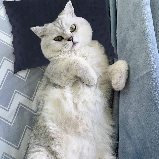 Small Pillow for Travel-Mini Travel Neck Pillows 11''*7''-Small Decorative Pillow-Tiny Pillows for Neck, Travel, Dogs, Cats