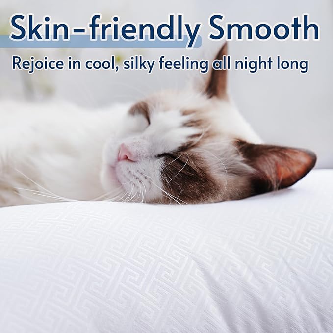 viewstar Pillows Queen Size Set of 2, Bed Pillows for Sleeping, Queen Pillows 2 Pack for Back and Side Sleepers, Fluffy Pillows for Bed with Down Alternative, Machine Washable, Light Blue, 20" x 30"