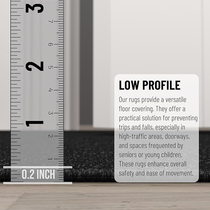 Machine Washable Modern Solid Design Non-Slip Rubberback 2x3 Traditional Area Rug for Entryway, Bedroom, Kitchen, Bathroom, 2'3" x 3', Black