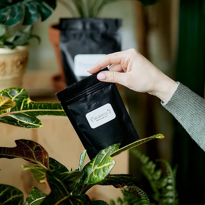 Karelian Heritage Elite Shungite Rocks for Water Purification & Filtering 0.2 lb (0.03-0.1 oz per Stone) | Certified Natural Authentic Shungite Stones from Karelia | Jewelry Making REB9