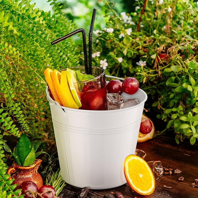 Rtteri 24 Pcs Metal Bucket, Small Metal Bucket, Party Favor Buckets with Handle, 6 x 5 Inch Ice Bucket for Kids, Flower Pot Plant Basket, Mini Toy Containers for Crafts Candy (White)