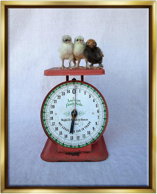 Stupell Industries Country BaBy Chick Birds on Vintage Kitchen Scale Floating Framed Wall Art, Design By Tania Soderman