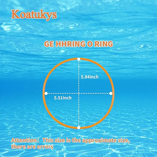 GE HHRING WS03X10054 O-Ring Compatible with Whole Home Filtration Models FXHSC FXHTC GXWH30C GXWH35F GXWH38F GXWH38S GXWH40L (6/Pack)