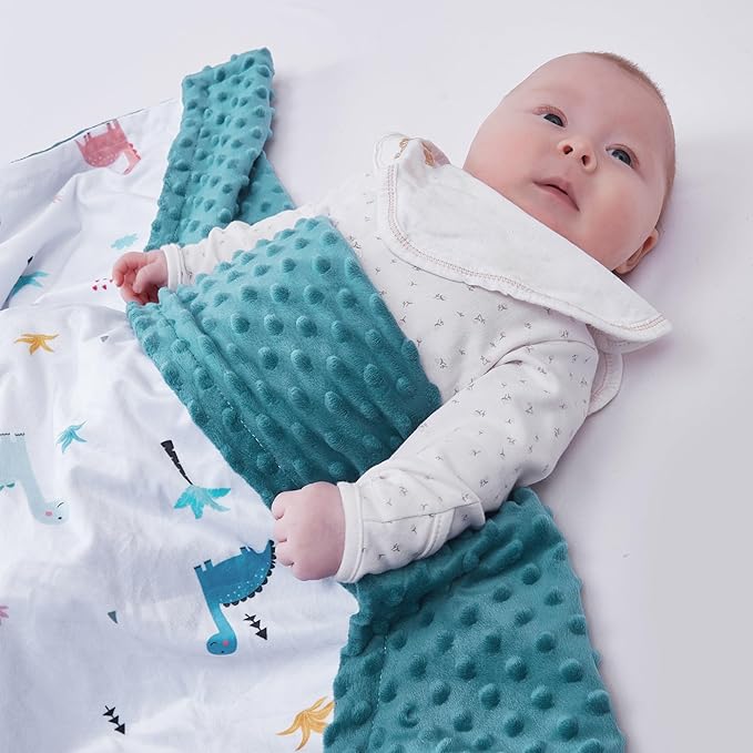 Baby Blanket for Boys Girls Super Soft Blanket,Fluffy Warm Lightweight Baby Receiving Blankets,Double Layer with Dotted Backing for Toddler Nursery (Dinosaur, 30 * 40inch)