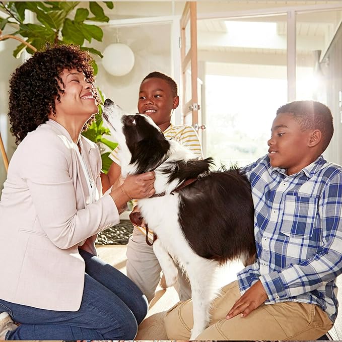 Filtrete 24x24x1 Air Filter, MPR 300, MERV 5, Clean Living Basic Dust 3-Month Pleated 1-Inch Air Filters, 6 Filters