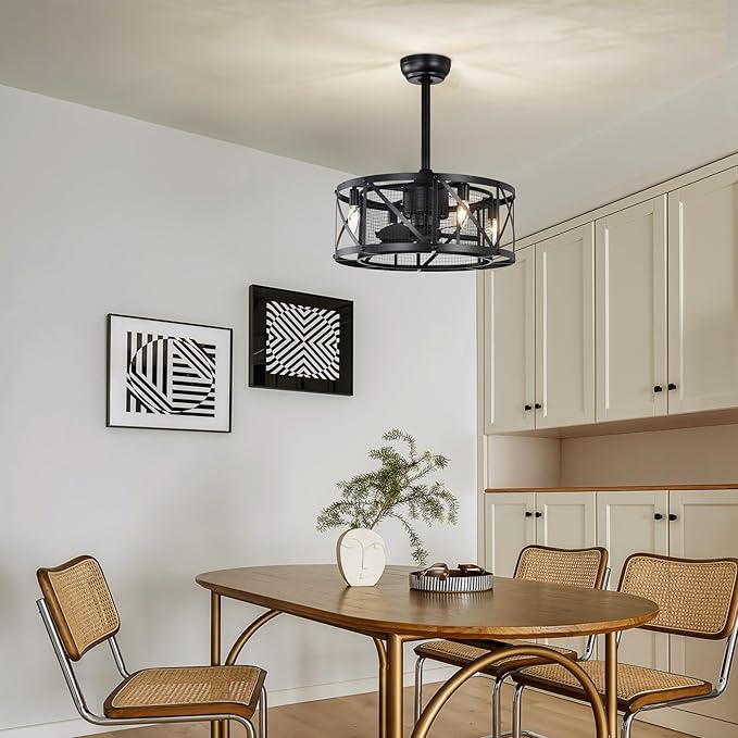 NicBex Ceiling Fan 20 Inch Modern Ceiling Fan with Lights Ceiling Fans with 5 Blades and Remote Control Reversible Small Caged Ceiling Fan for Bedroom, Living Room, Matte Black