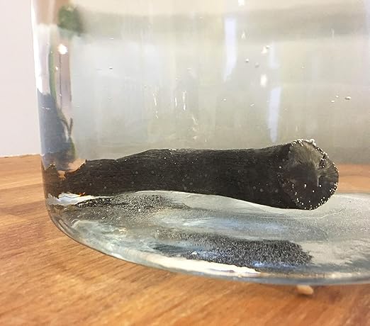TOSA Binchotan Charcoal Water Purifying Stick for Great-Tasting Water, 1 Stick - Filters 1-2 Gallons of Water