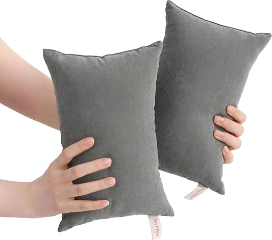 BEDSUM 2 Pack Tiny Pillows, 11"x7" Microfiber Mini Pillows for Travel, Pets, Soft and Machine Washable Small Pillows for Neck, Wrist, and Knee Comfort, Dark Grey