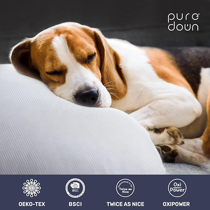 puredown® Soft Bed Pillows for Sleeping, Goose Feather Down Pillows Hotel Collection Queen Size of 2, Twill Diamond Pattern Embossing Pillows for Back Stomach Side Sleepers (20 x 28, 2 Pack)