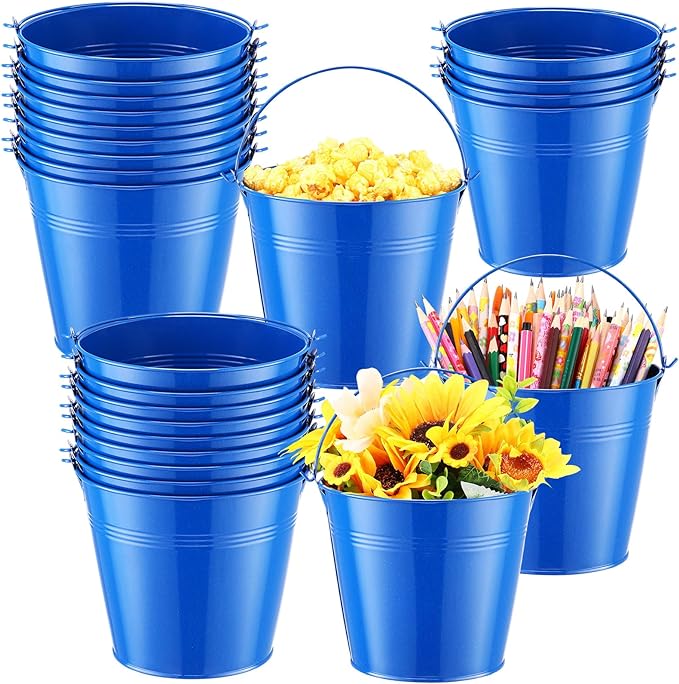 Rtteri 24 Pcs Metal Bucket, Small Metal Bucket, Party Favor Buckets with Handle, 6 x 5 Inch Ice Bucket for Kids, Flower Pot Plant Basket, Mini Toy Containers for Crafts Candy (Dark Blue)
