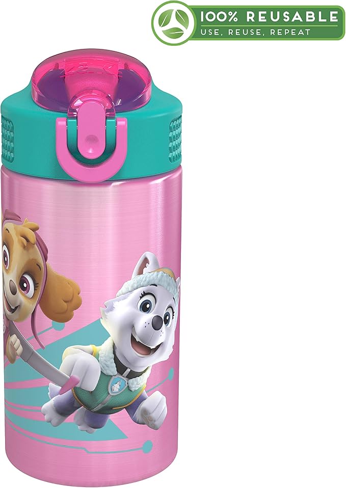 Zak Designs 18/8 Stainless Steel Kids Water Bottle with Flip-up Straw Locking Spout Cover, Durable Cup for Sports or Travel (15.5oz, Paw Patrol Skye),PWPT-S732