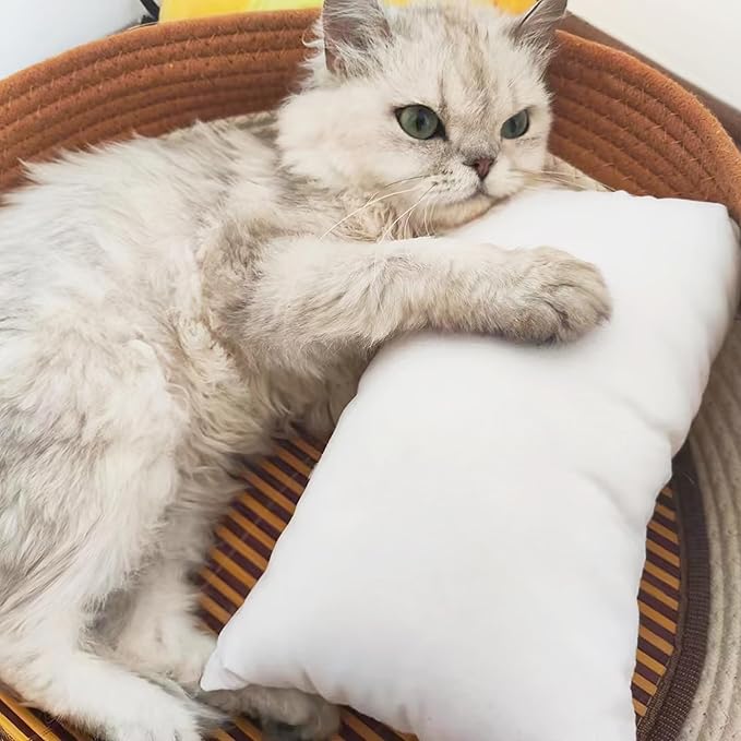 BEDSUM 2 Pack Pillows, 13"x18" Microfiber Pillows for Travel, Pets, Soft and Machine Washable Small Pillows for Neck, Wrist, and Knee Comfort, Dark Grey