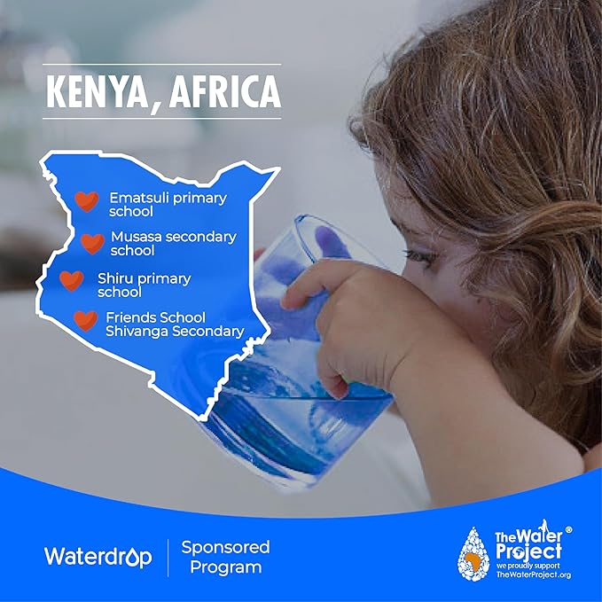 Waterdrop WD-K19RF-FK Filter, Replacement for WD-K19-SFK Countertop Reverse Osmosis System, 12-month Lifetime