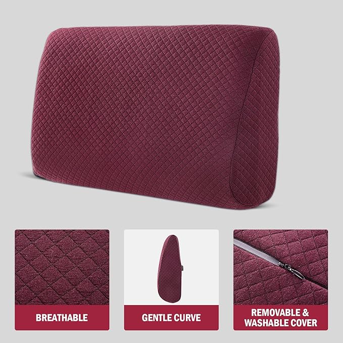 MABOZOO Memory Foam Back Support Cushion for Recliner Chair,Lumbar Support Pillow for Elderly,Extra Large Lumbar Support Pillow with Extension Straps,Wine Red