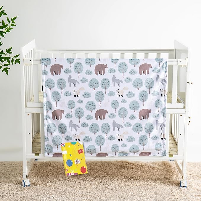 Baby Blanket for Boys Girls Super Soft Blanket,Fluffy Warm Lightweight Baby Receiving Blankets,Double Layer with Dotted Backing for Toddler Nursery (Bear, 30 * 40inch)
