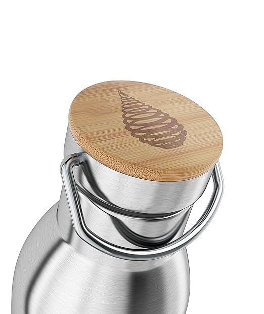 Invigorated Water pH Active Insulated Water Bottle - Filtered Alkaline Water Bottle - Stainless Steel Water Bottle - Includes Alkaline Water Filter, Plus Sports Gym Lid - Double Walled Metal - 650ml