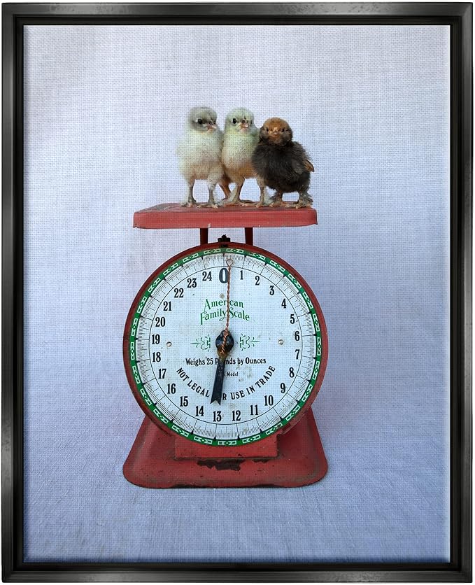 Stupell Industries Country BaBy Chick Birds on Vintage Kitchen Scale Floating Framed Wall Art, Design By Tania Soderman