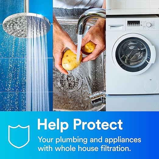 Aqua-Pure ap117 Model AP117NP 5541705 Whole House Standard Diameter Replacement Filter (Pack of 2)