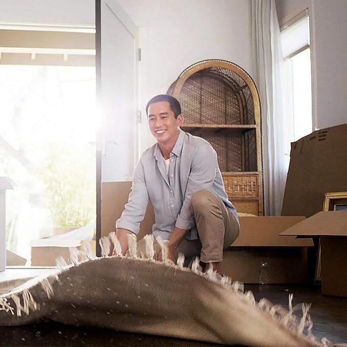 Filtrete 10x20x1 Air Filter, MPR 300, MERV 5, Clean Living Basic Dust 3-Month Pleated 1-Inch Air Filters, 6 Filters