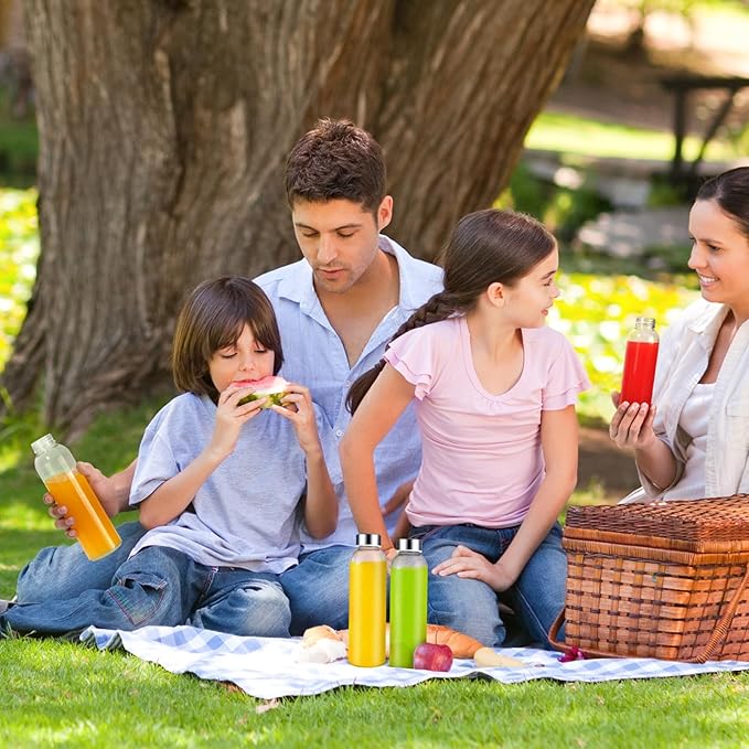 Glass Juice Bottles with Lids for Juicing 18 oz, Reusable Clear Glass Water Bottles with Stainless Steel Airtight Cap for Refrigerator, 100% Leak Proof, BPA Free, Set of 10