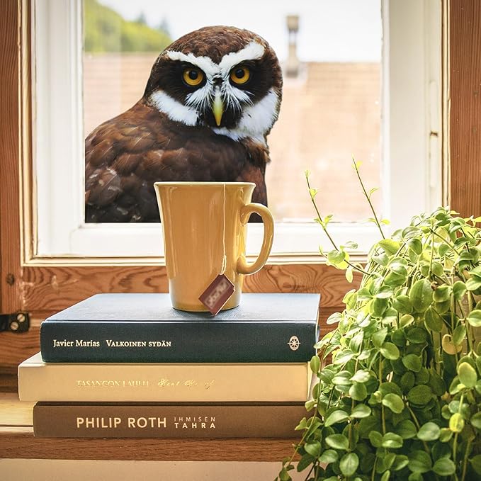 3D Gazing Owl Animal Window Stickers Removable Wall Stickers Peel and Stick Wall Art Decoration Kids Nursery Baby Bedroom Living Room Fun Decoration