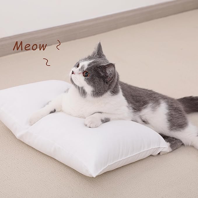 NTBAY Tiny Pillows, Down Alternative 7"x11" Microfiber Mini Pillows for Travel, Pets, Soft Machine Washable Small Pillows for Neck, Wrist, Lumbar and Knee, Sea Green