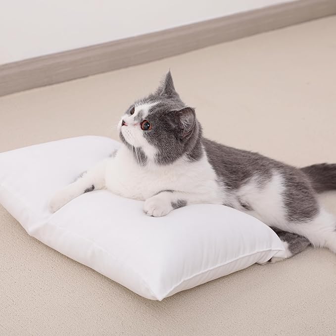 NTBAY Toddler Pillows, Down Alternative 13"x18" Pillows, Machine Washable - Soft and Breathable Travel Small Pillows for Sleeping, Ideal for Daycare, Crib, Cot, Black