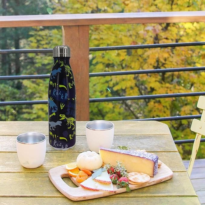 Dinosaur Insulated Sport Water Bottles Stainless Steel Travel Mugs BPA Free Tumbler For Outdoor Camping Travel 20 OZ