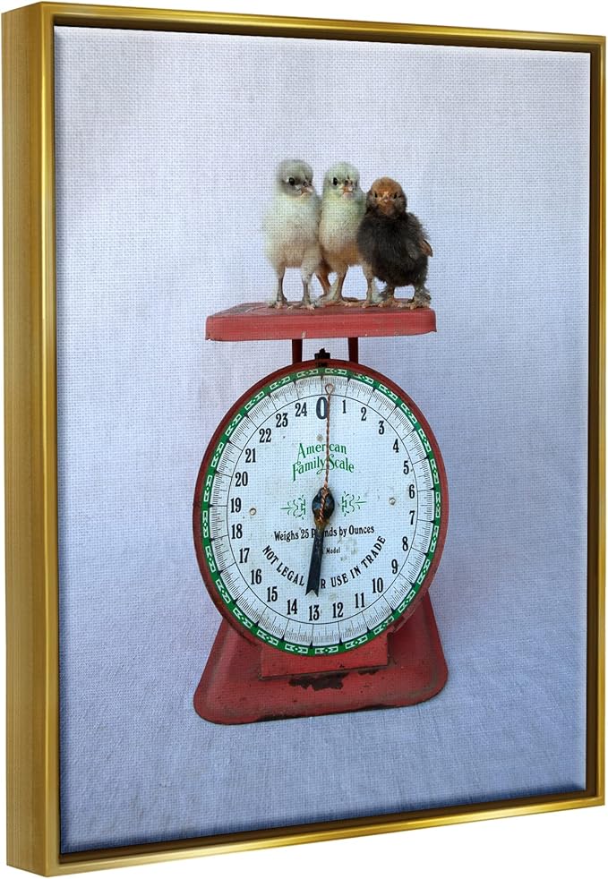 Stupell Industries Country BaBy Chick Birds on Vintage Kitchen Scale Floating Framed Wall Art, Design By Tania Soderman