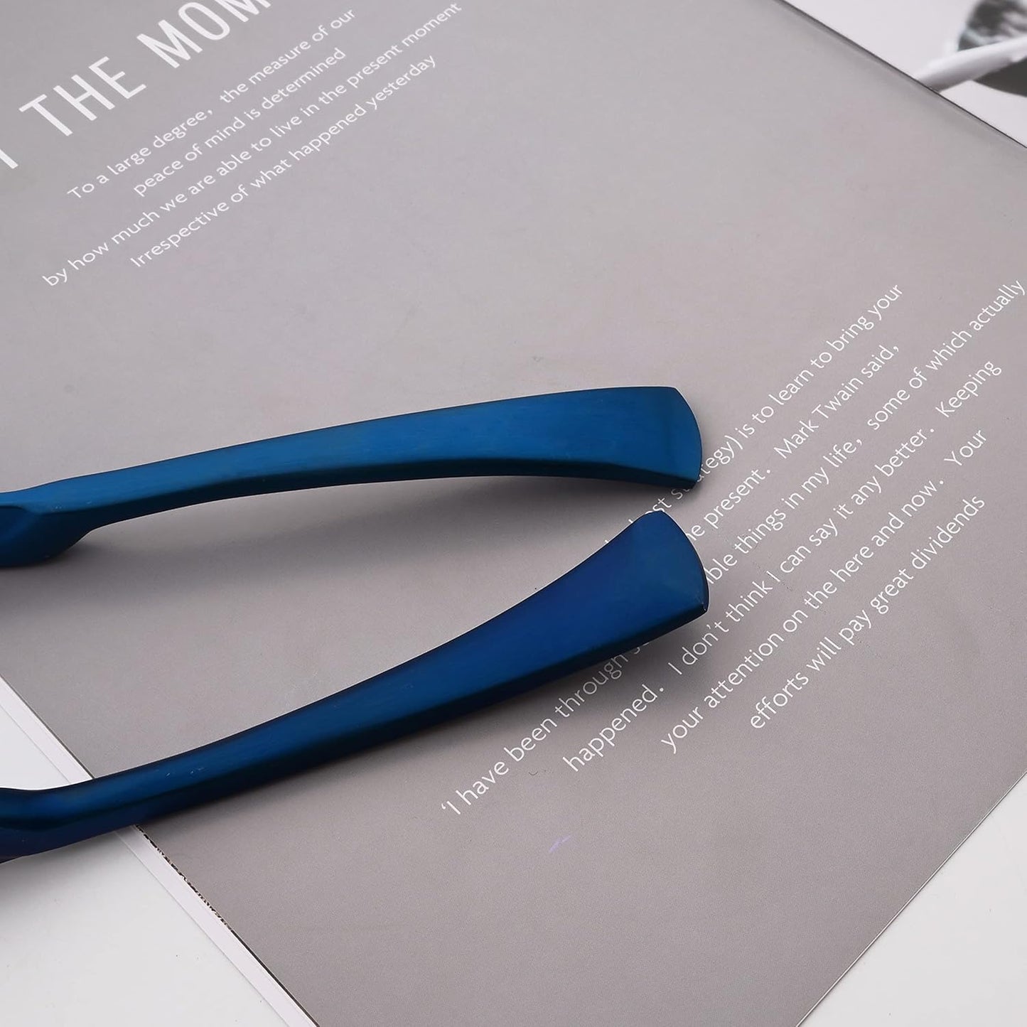 Luxury 18/10 Stainless Steel Matte Blue Cutlery Flatware Set - Utensil Set Steak Spoons and Forks Knife Silverware Set,Service for 4 (24-Piece)