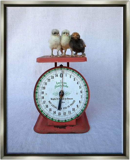 Stupell Industries Country BaBy Chick Birds on Vintage Kitchen Scale Floating Framed Wall Art, Design By Tania Soderman